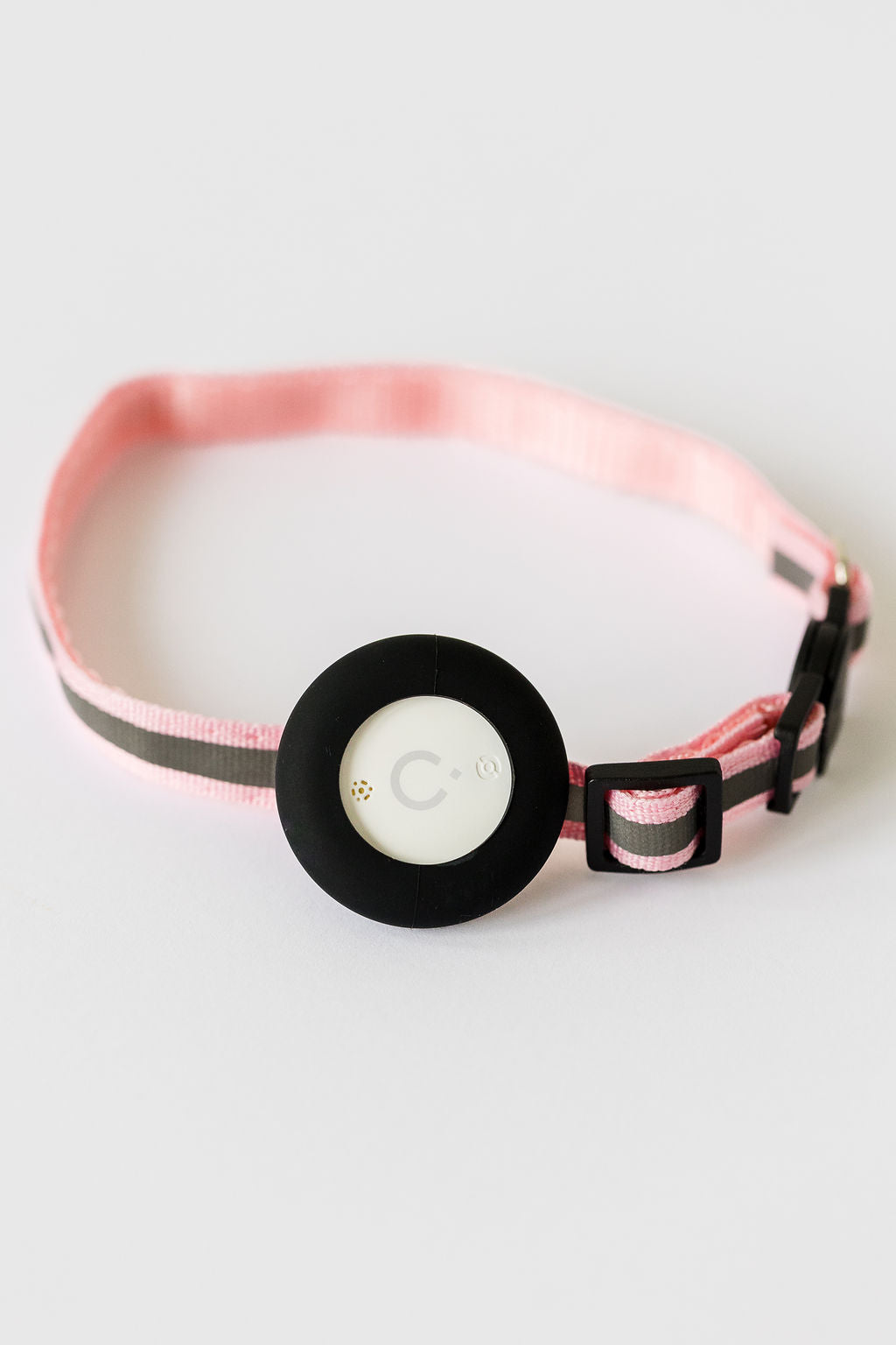 Cat Collar