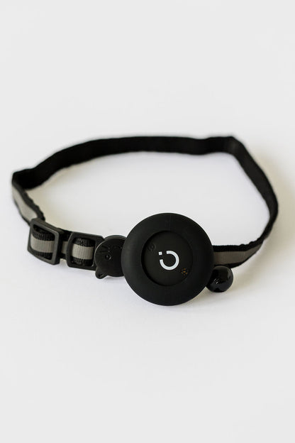 Cat Collar
